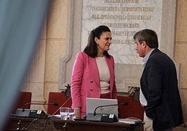 Uno de los socios privados le pidió explicaciones a la concejala de Movilidad, Trinidad Hernández, en una imagen de archivo en el último pleno.