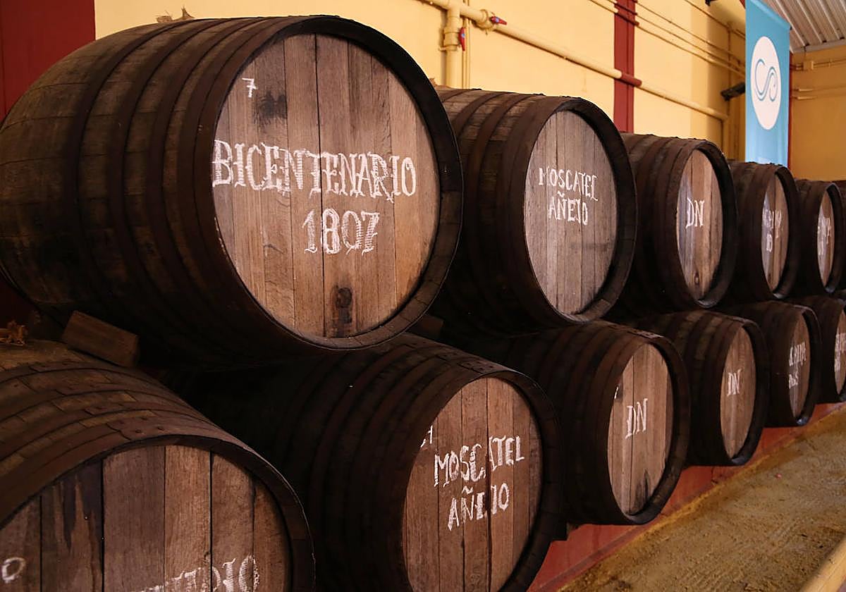 La Sacristía de la Bodega Carpe Diem atesora las madres más antiguas de la provincia, con más de 200 años de historia.