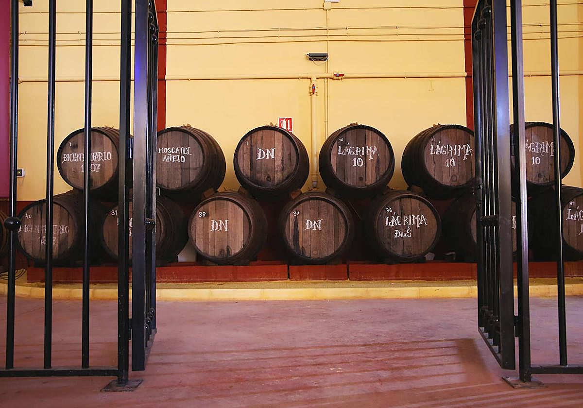 La Sacristía de la Bodega Carpe Diem en Mollina.