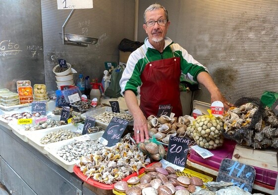 Málaga se queda sin conchas finas en sus principales caladeros