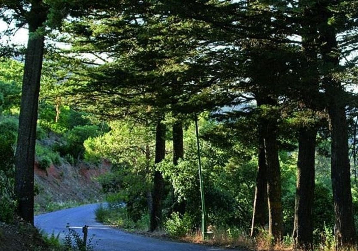 Imagen de archivo de un paraje de Los Montes de Málaga.