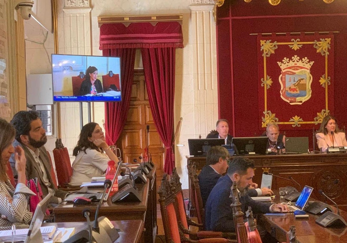 La concejala de Movilidad, Trinidad Hernández, arriba izquierda, durante su comparecencia al PSOE y Con Málaga, este lunes.