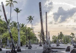 Alteración del clima: alertan del comienzo del fenómeno de La Niña y sus consecuencias