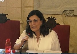 La concejala de Movilidad, Trinidad Hernández, arriba izquierda, durante su comparecencia al PSOE y Con Málaga, este lunes.