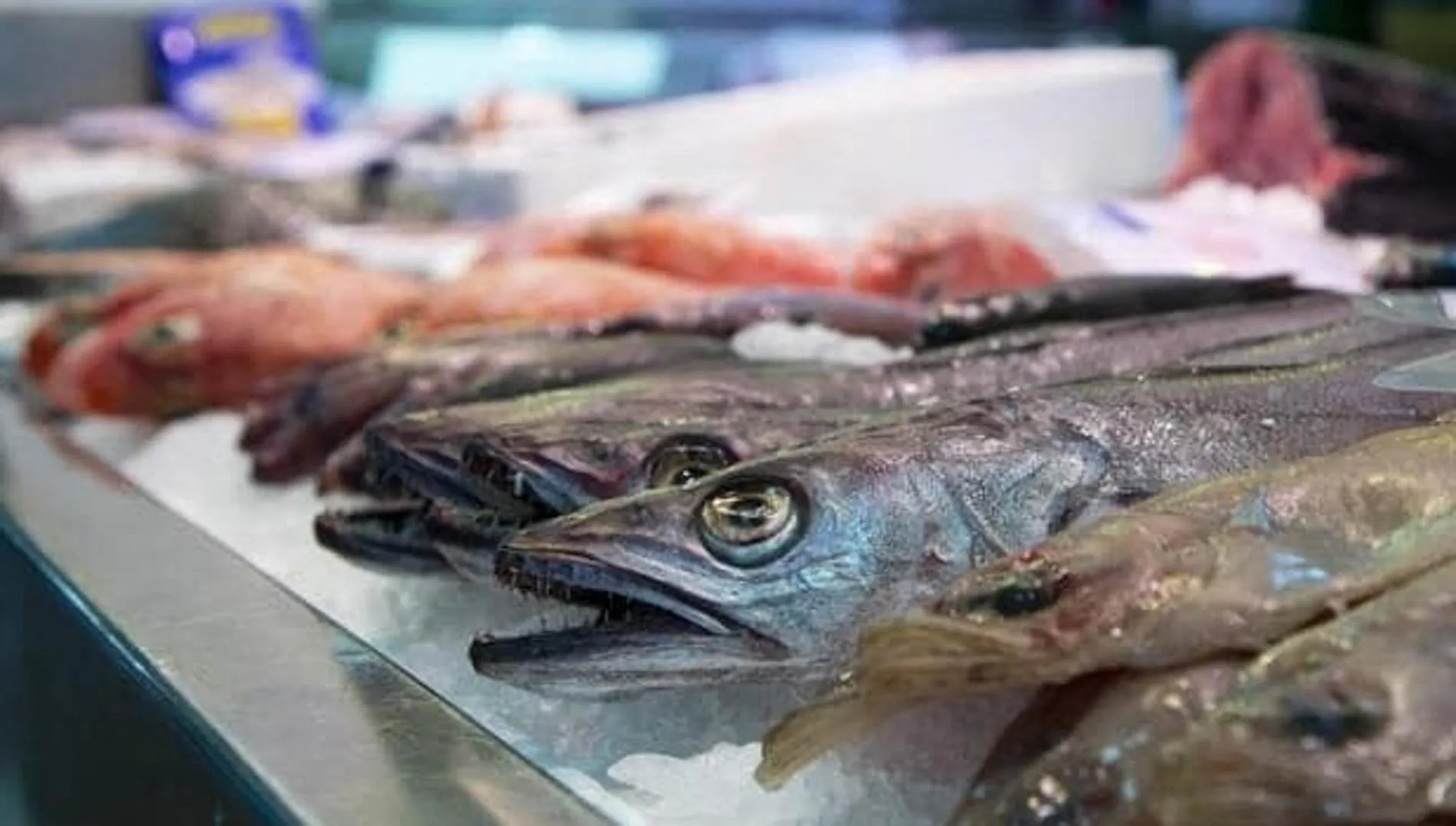 Alerte alimentaire : l’UE retire un poisson à l’anisaki destiné au marché espagnol