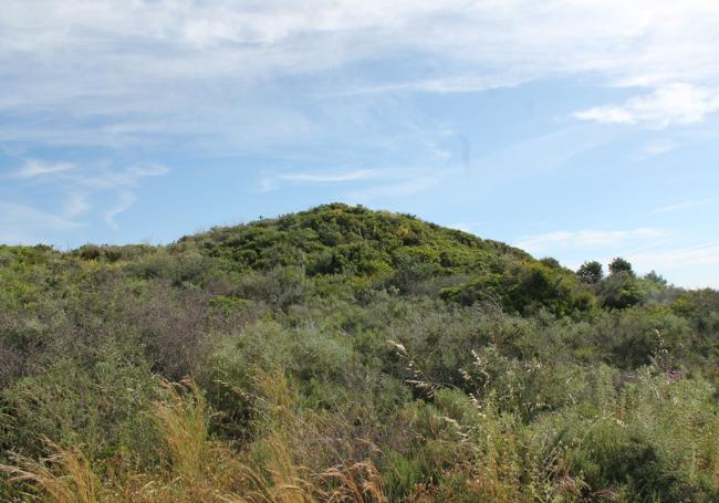 Colina donde se encuentra el yacimiento de Castillejos de Alcorrín.