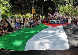 Manifestación del pasado domingo en favor del pueblo palestino.