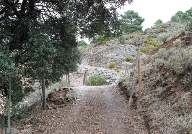 Último tramo, antes de llegar al Charco de la Cal.