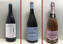 La cata: los vinos recomendados de la cuarta semana de mayo