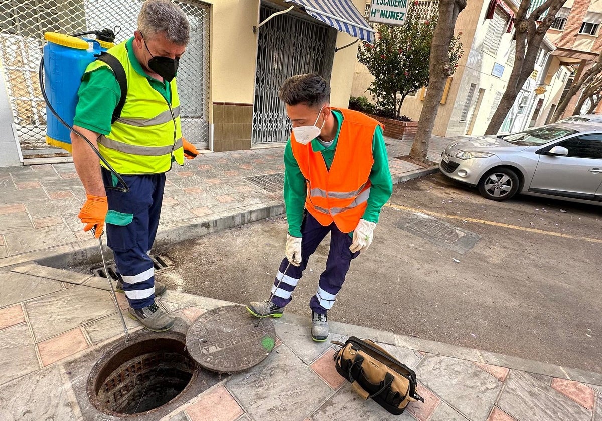 Campaña especial de limpieza en el subsuelo de Fuengirola para evitar que proliferen los insectos