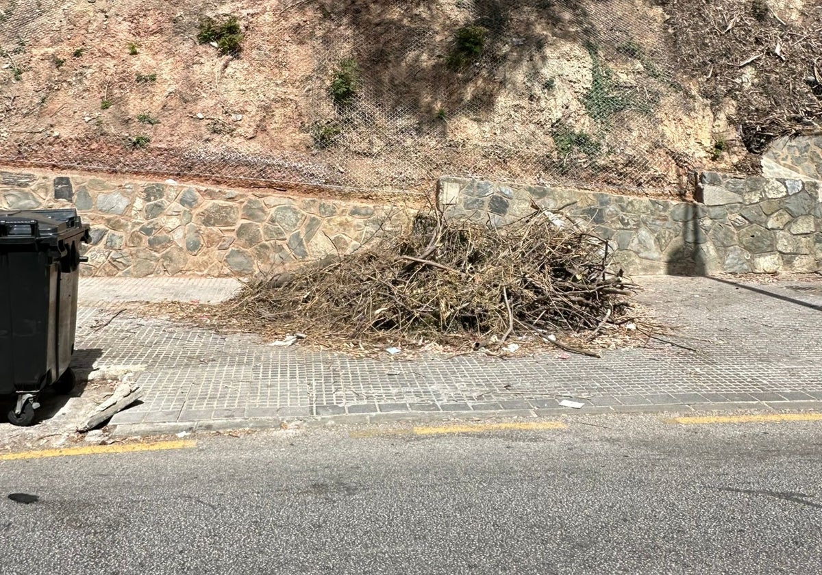 Brozas en el Paseo Cerrado de Calderón.