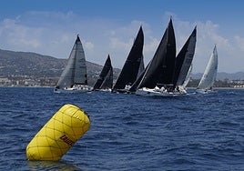 La Málaga Sailing Cup es la regata más importante que se celebra en Málaga.