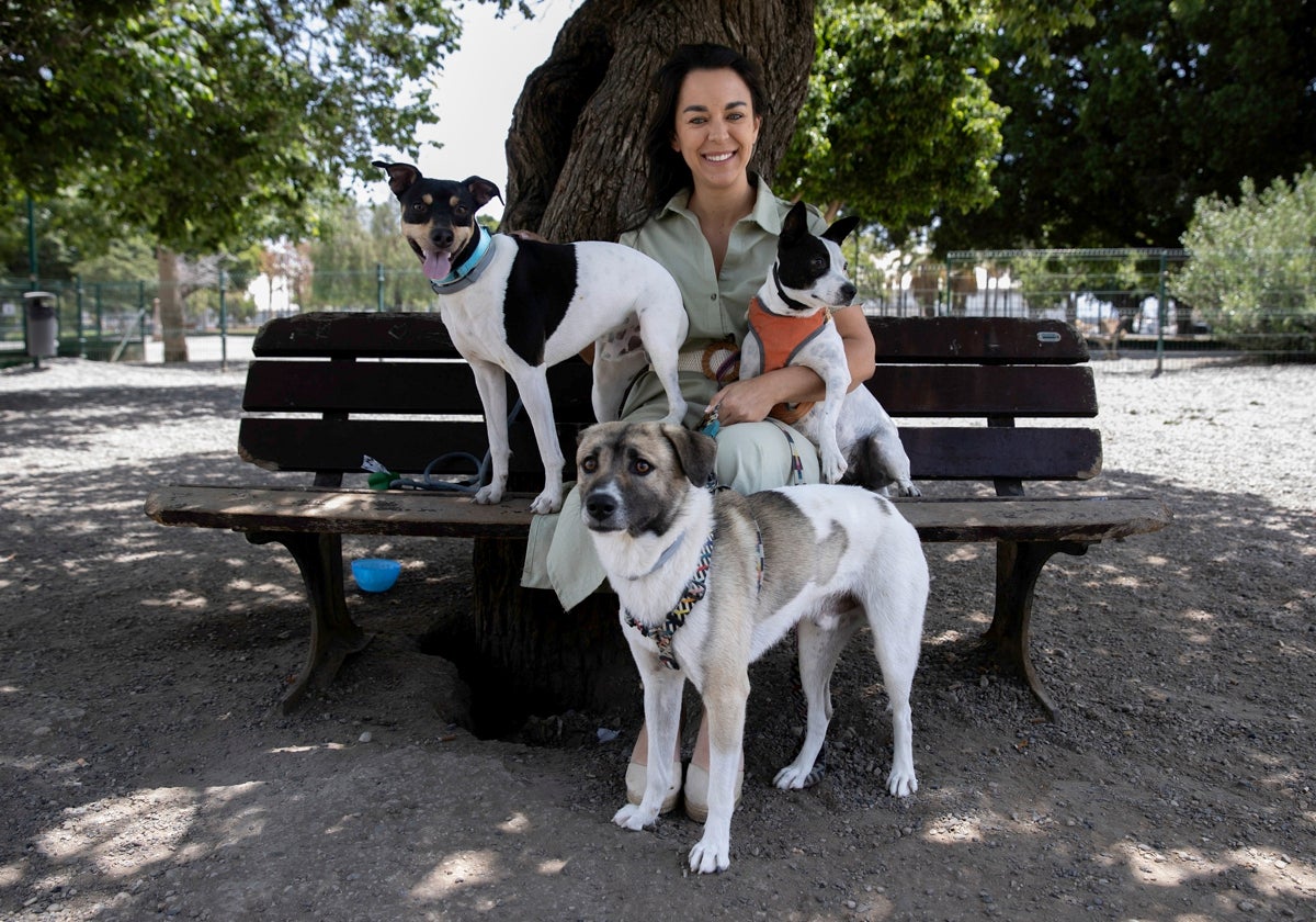 García, en un parque de la capital, con tres perros.