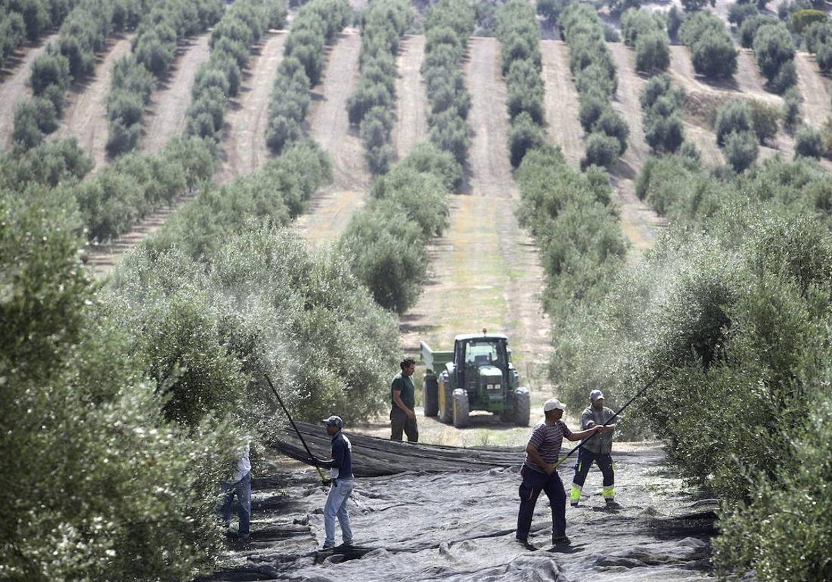 La reforma de los subsidios reduce de 35 a 10 las peonadas necesarias en un año para cobrar la renta agraria