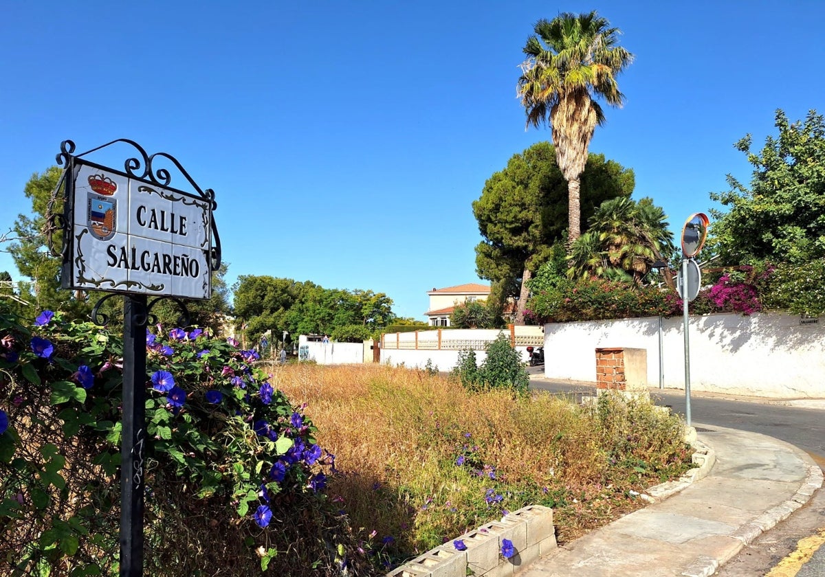 Vista de la calle Salgareño.