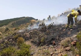 Nueva prohibición en las zonas forestales de Andalucía desde este sábado