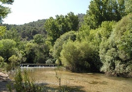 Imagen de archivo del río Turón en el Parque Natural Sierra de las Nieves.