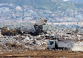 Camiones de Limasam en el vertedero de Los Ruices.