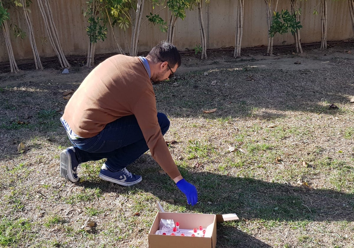 Recogida de muestras de ADN de perro.