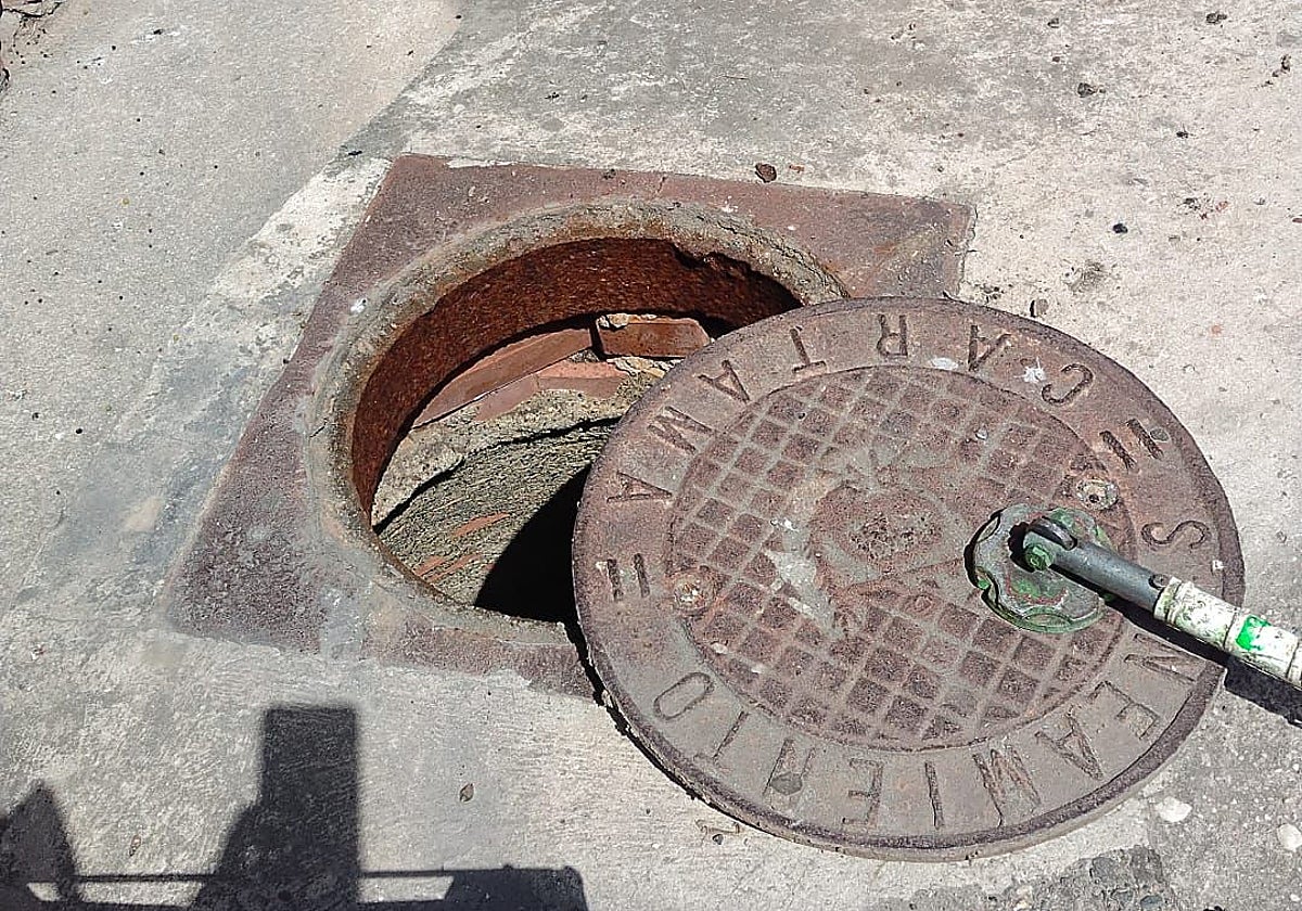 Los trabajos de desinsectación y desratización en Cártama.