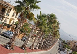 Viviendas en la urbanización Fuensanguínea de Alhaurín de la Torre.