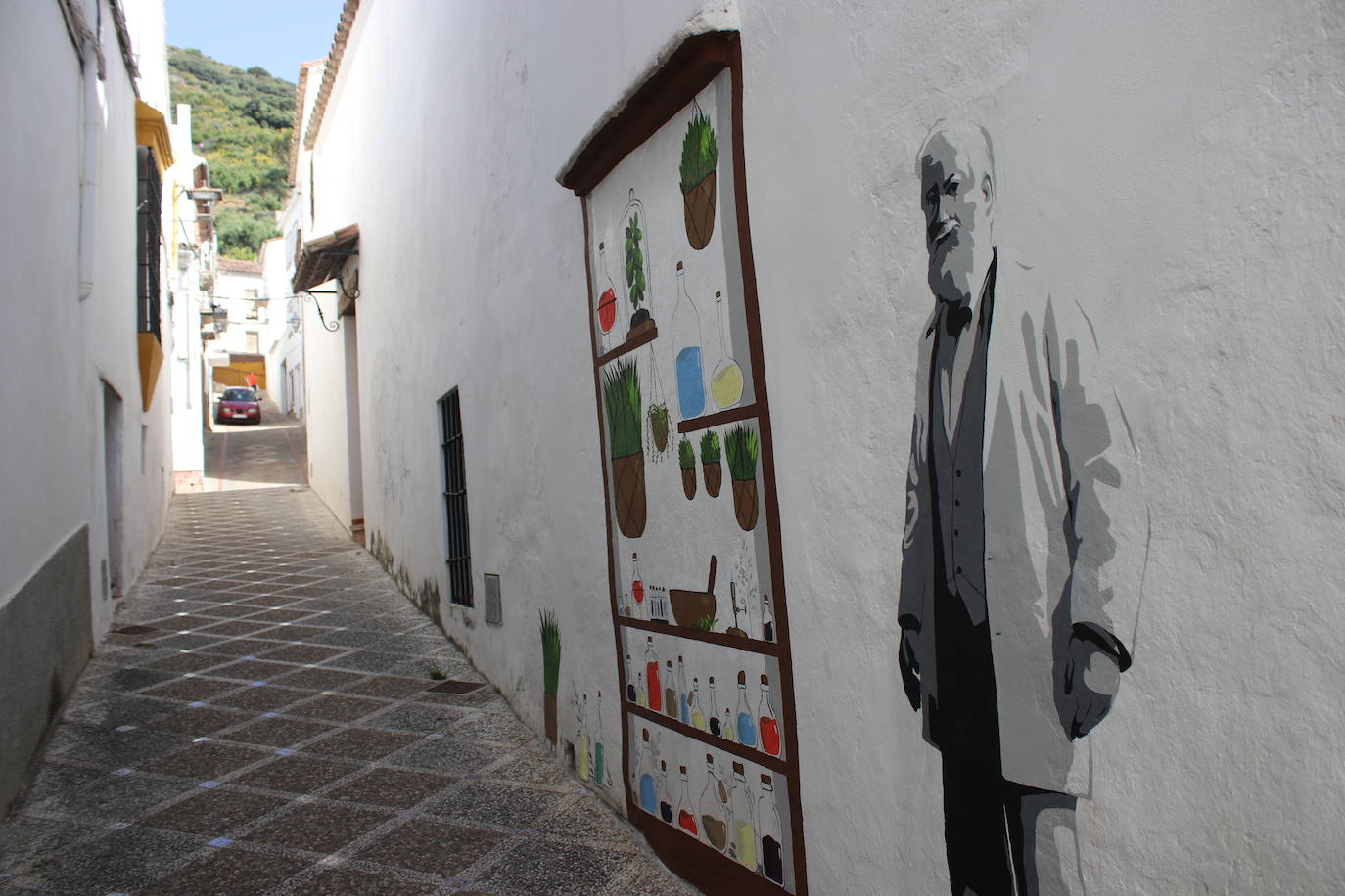 Cortes de la Frontera luce en unos 15 murales y otras obras en sus paredes