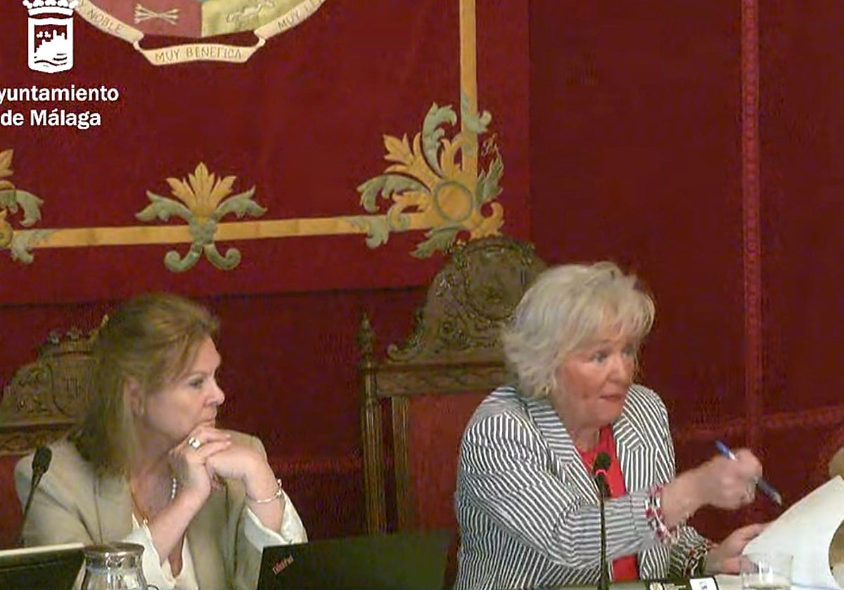 Teresa Porras, durante la comisión de Medio Ambiente que preside.