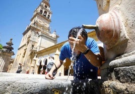 Aemet activa por segundo día consecutivo el aviso amarillo por calor en Andalucía