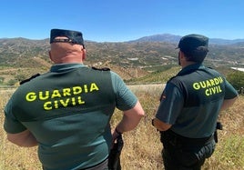 Ocho detenidos de una organización criminal dedicada al cultivo de droga en Estepona y Archidona