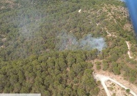 Declarado un incendio forestal en Alhaurín de la Torre