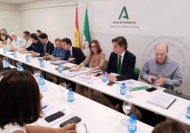 La consejera de Fomento, hoy durante la reunión del POT de la Costa en Málaga.