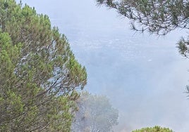 Llamas en la urbanización Rancho Domingo de Benalmádena.