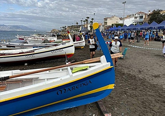 Todas las jábegas, preparadas para las regatas.