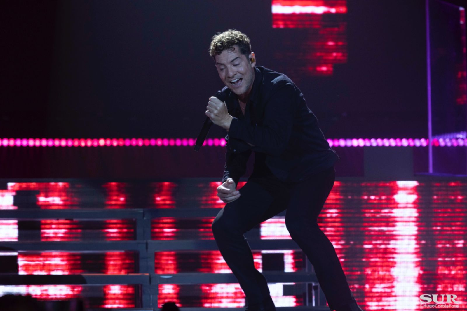 Las mejores imágenes del concierto de David Bisbal en Málaga