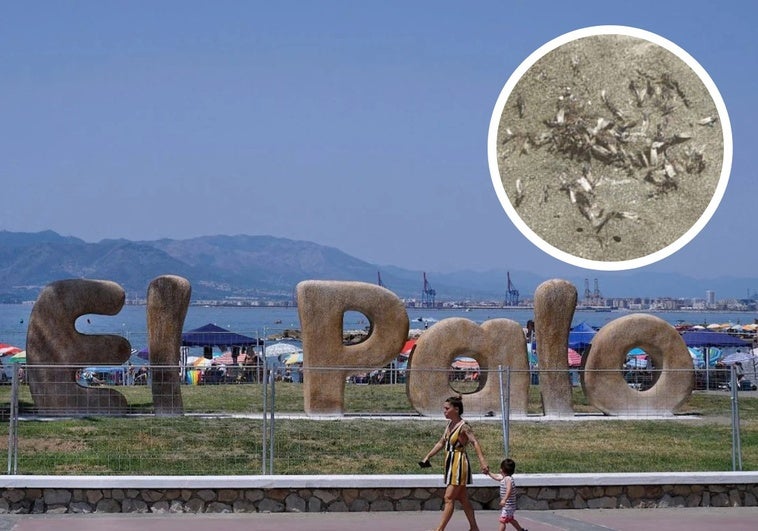 Las alúas han sorprendido este domingo a los bañistas que han acudido a la playa de El Palo.