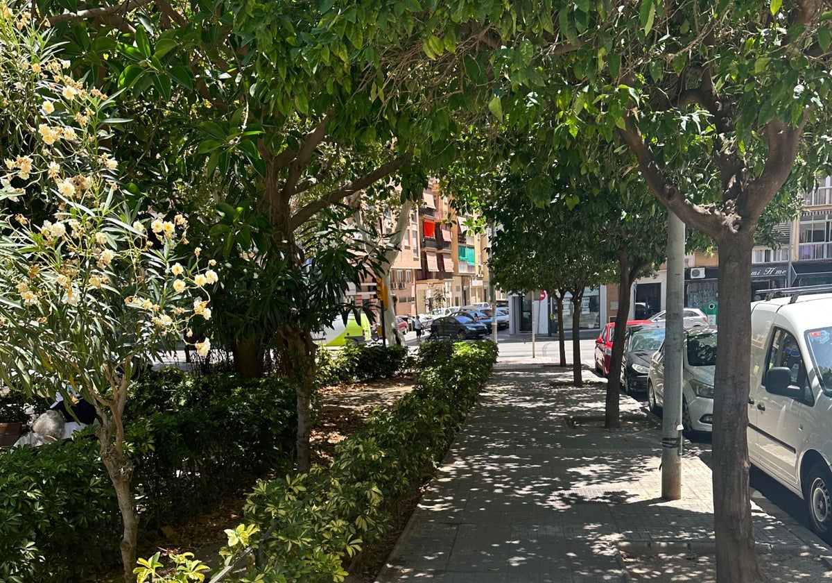 Vista de la calle Eduardo San Martín.