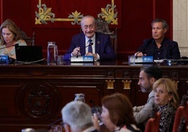 Málaga, patrono del centro de investigación contra el cáncer del que será director científico Emilio Alba