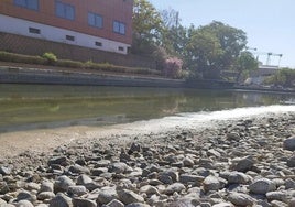 El PTA empieza a trasvasar agua a su lago tras las alertas sobre el riesgo para los animales