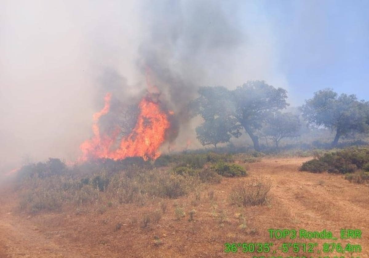 A prisión un hombre por provocar un incendio forestal en Casares