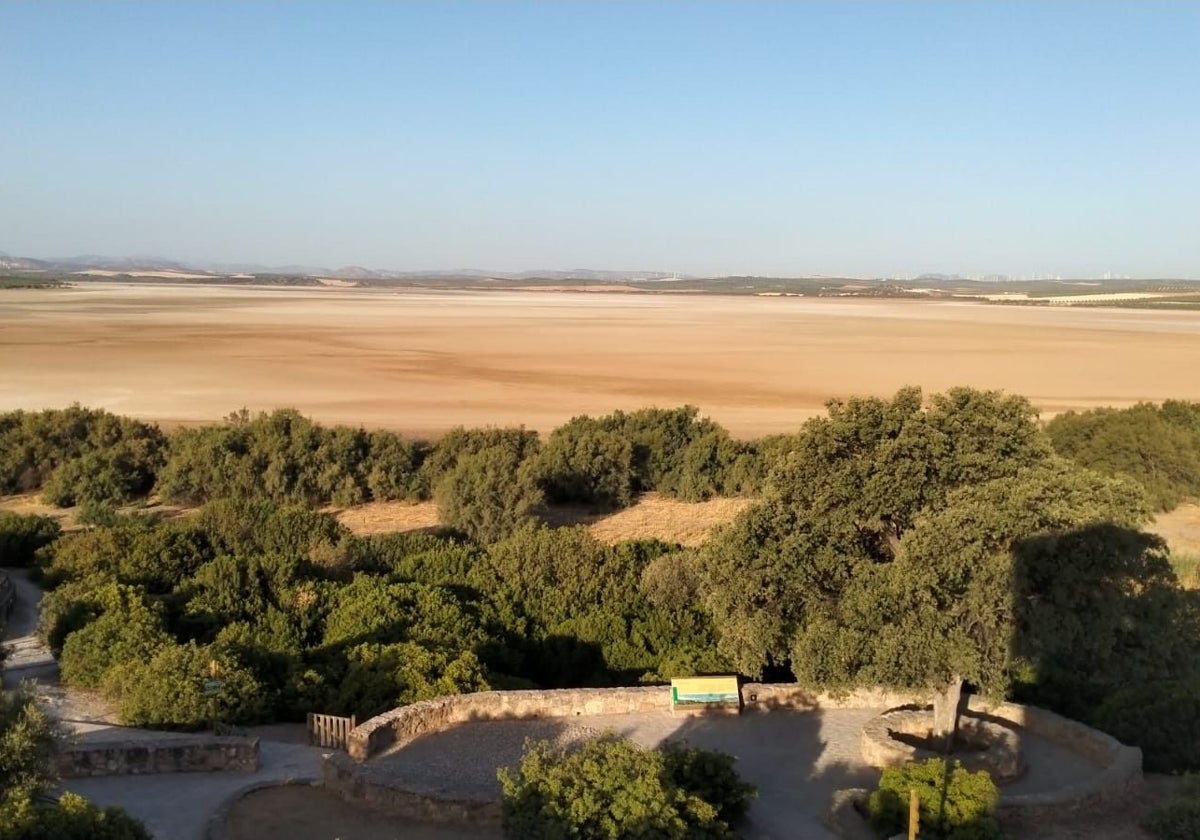 El estado actual de la Reserva Natural Laguna de Fuente de Piedra.