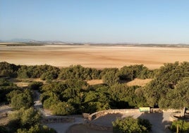 El estado actual de la Reserva Natural Laguna de Fuente de Piedra.