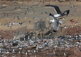 Vertedero en el centro ambiental de los Ruices.