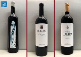 La cata: los vinos destacados de la última semana de julio