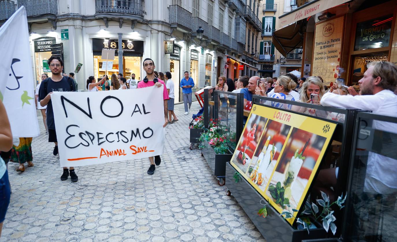 Manifestación &#039;Málaga Antitaurina&#039; organizada por PACMA