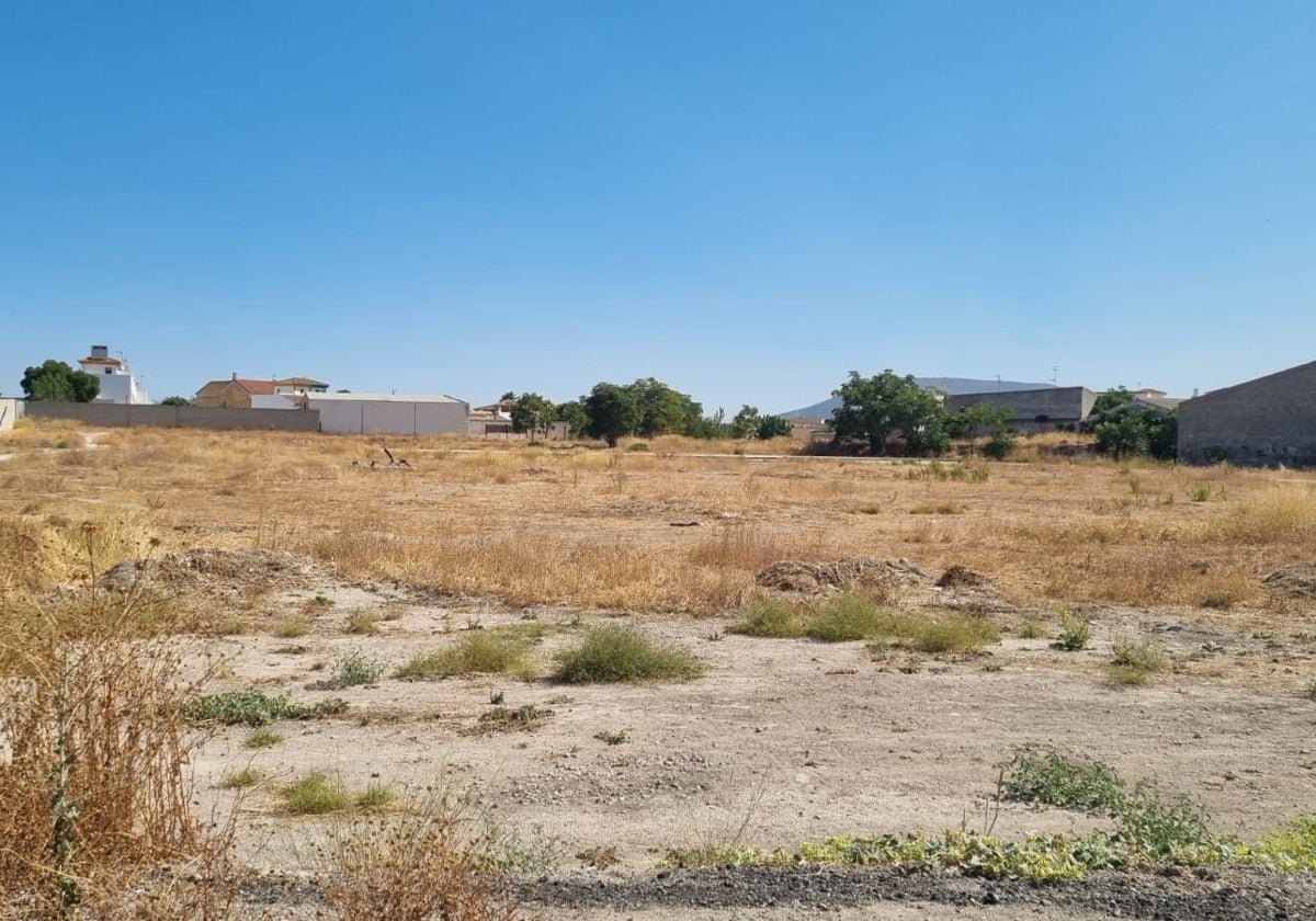 Los terrenos que va a comprar el Ayuntamiento de Fuente de Piedra para construir nuevas viviendas.