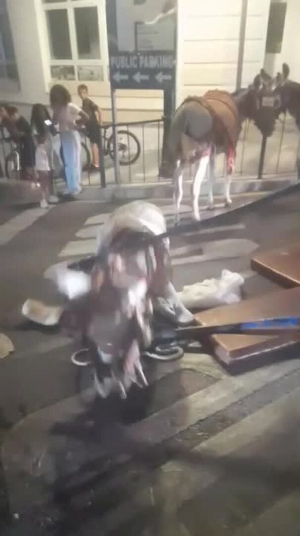 Un burro taxi de Mijas se desploma en plena calle