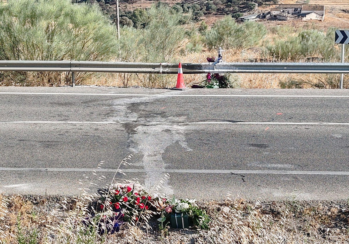 El lugar donde tuvo lugar accidente en la A-356 que conecta Casabermeja y Torre del Mar.