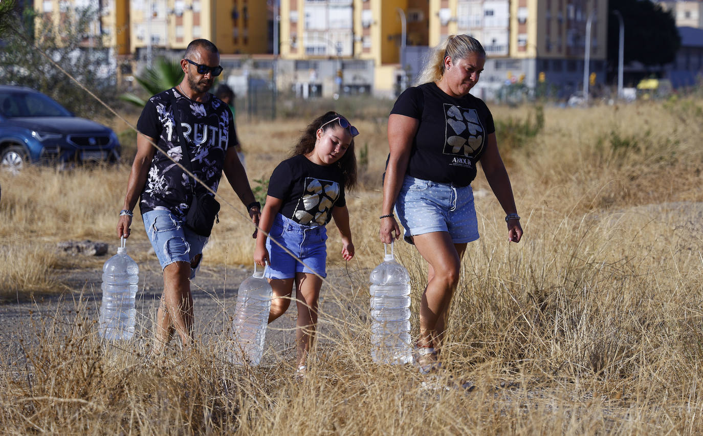 Imagen secundaria 1 - El refugio verde que crece en Málaga
