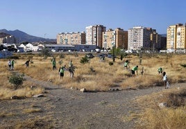 Un grupo de voluntarios del Bosque Urbano de Málaga, en una jornada de riego organizada el pasado 1 de agosto.