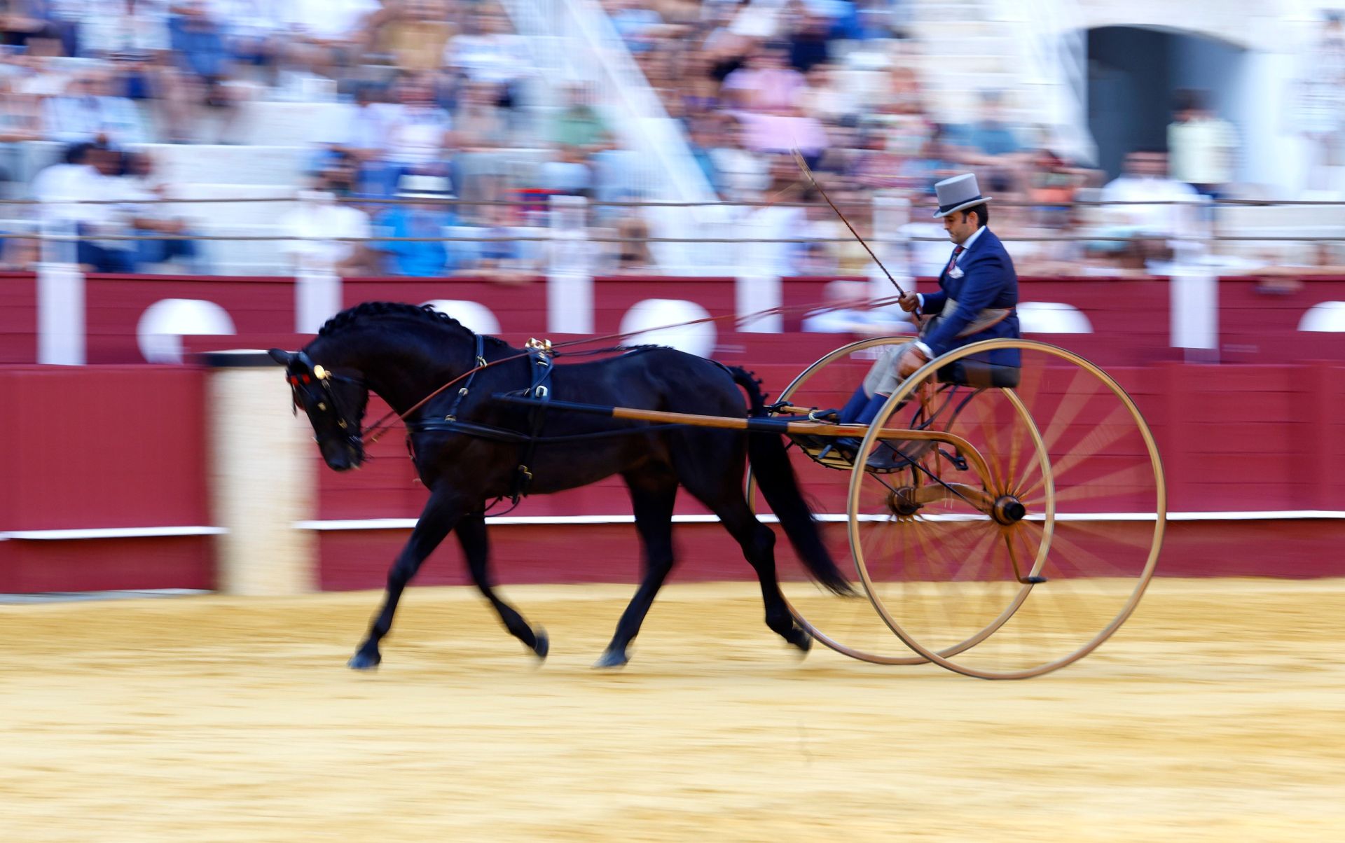 Concurso de Exhibición de Enganches de Caballos Ciudad de Málaga en La Malagueta